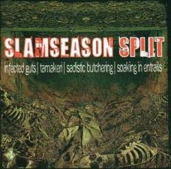 Infected Guts : Slamseason Split